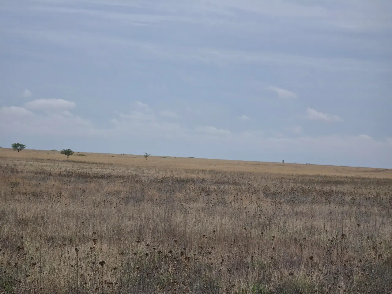 Photo 13 — AB 1580 BLK A-4 SEC 38 W/2 OF NW/4, Hale Center, TX 79041