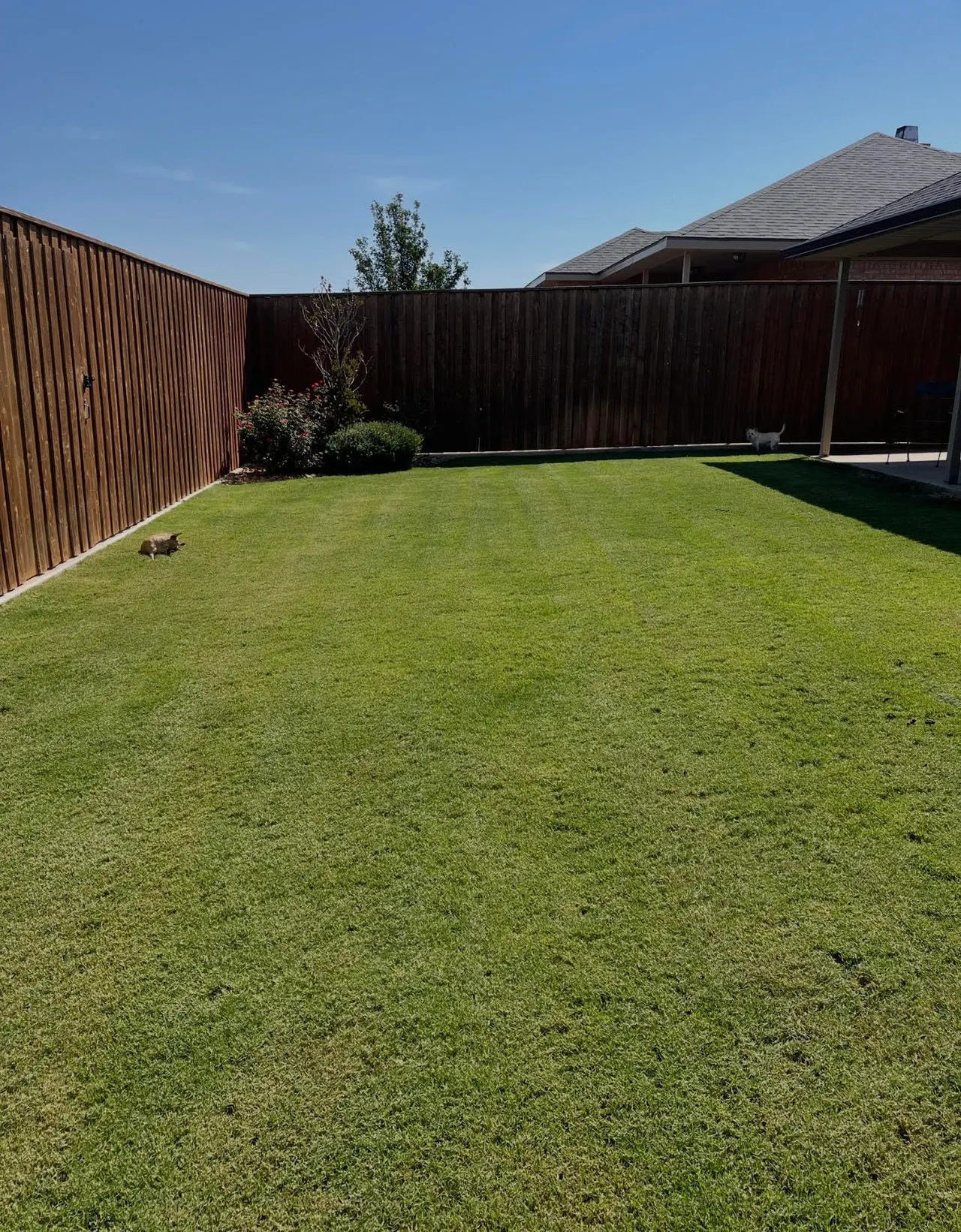 Photo 18 — 7044 95th Street, Lubbock, TX 79424