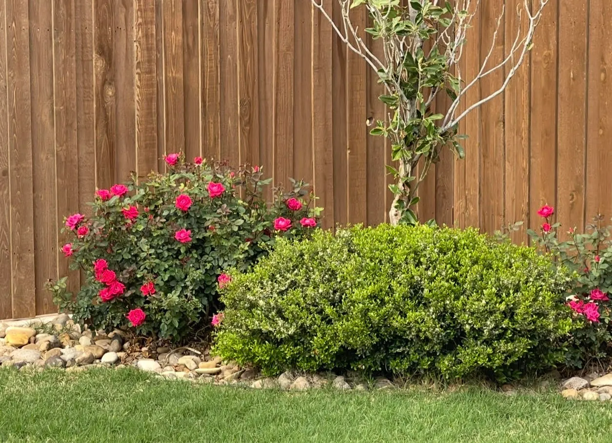 Photo 19 — 7044 95th Street, Lubbock, TX 79424