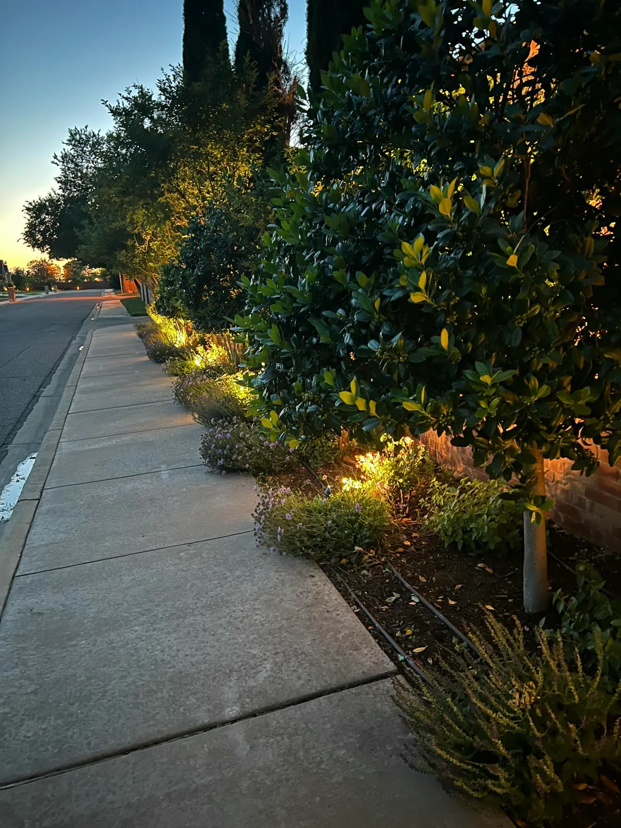 Photo 2 — 408 Troy Avenue, Lubbock, TX 79416