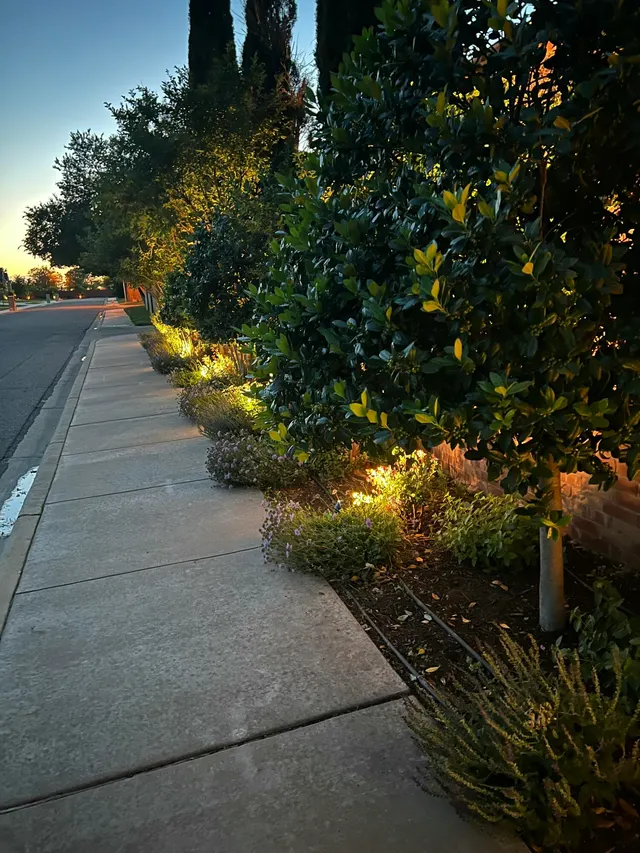 Photo 2 — 408 Troy Avenue, Lubbock, TX 79416
