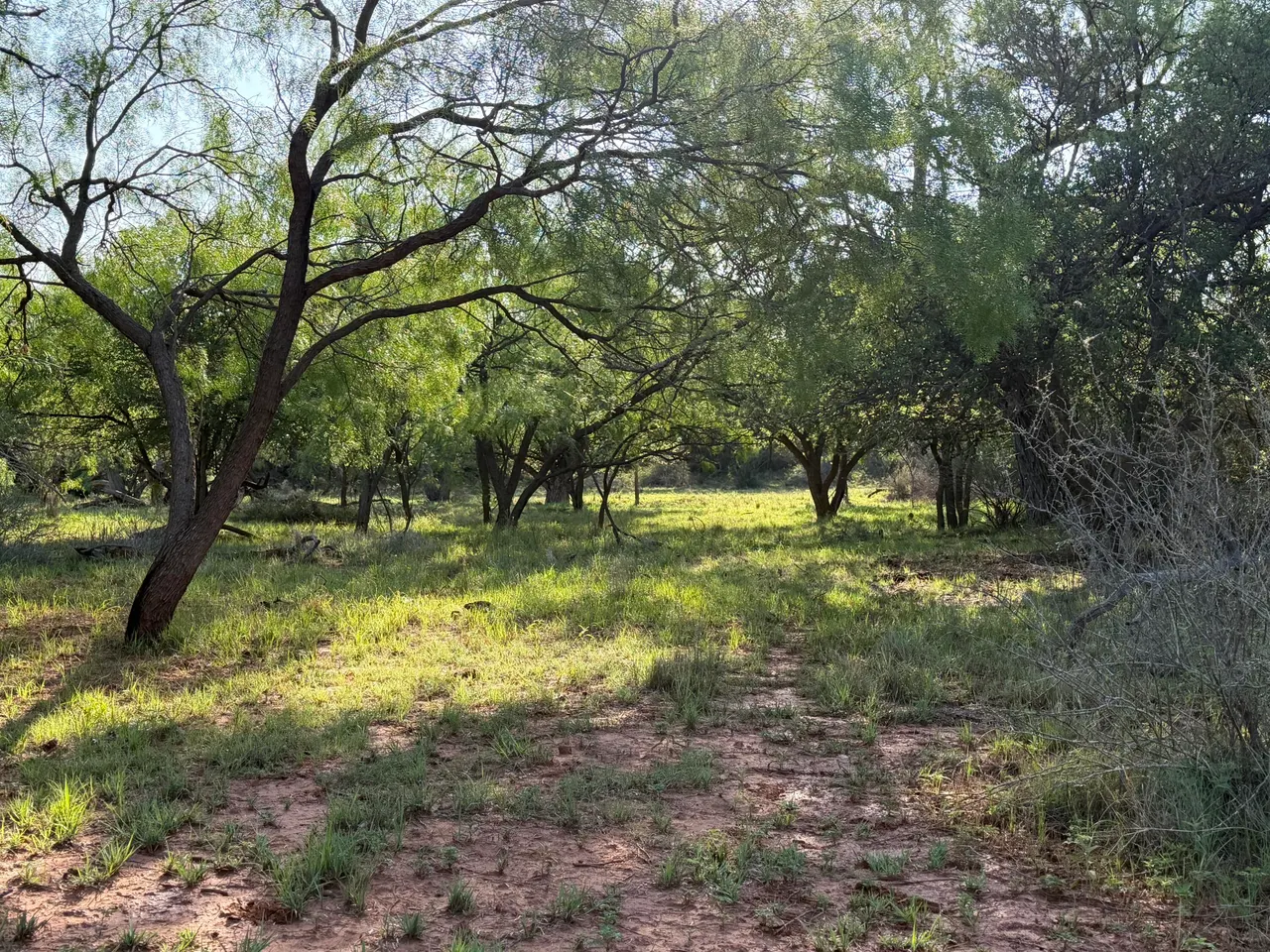 Photo 26 — Texas 92, Hamlin, TX 79520