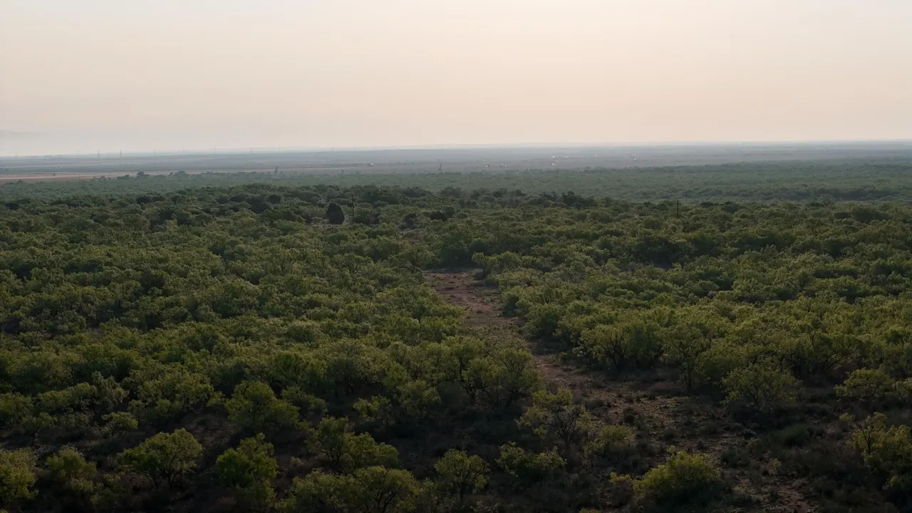 Photo 54 — Texas 92, Hamlin, TX 79520