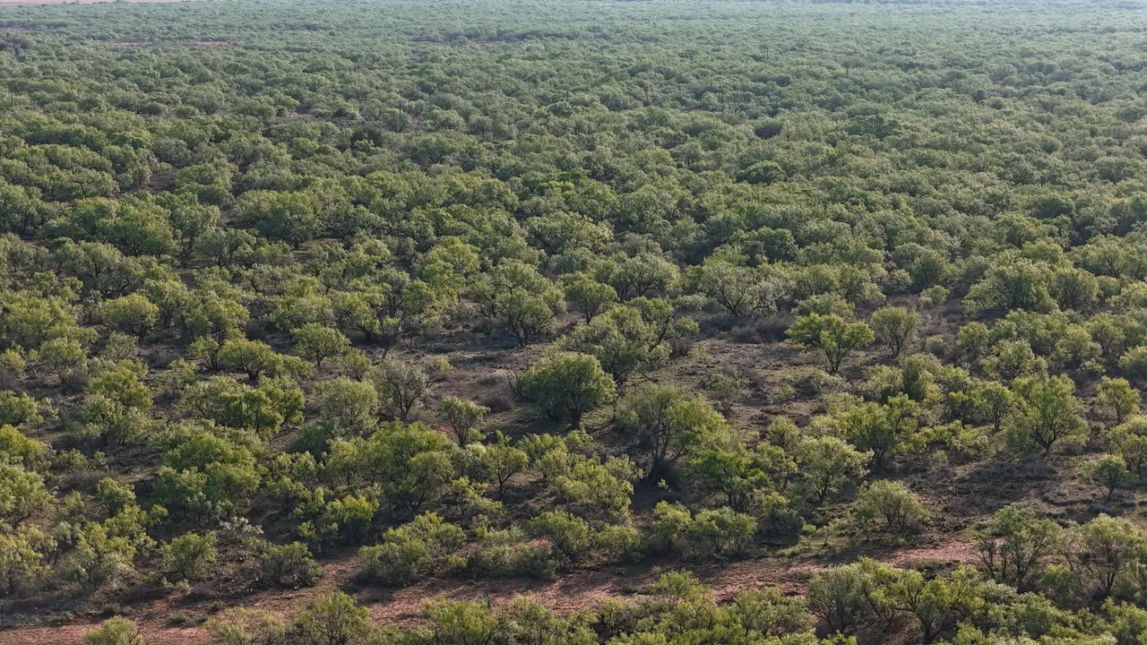 Photo 62 — Texas 92, Hamlin, TX 79520