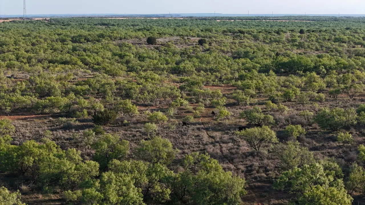 Photo 63 — Texas 92, Hamlin, TX 79520