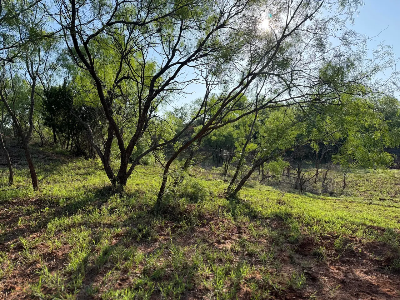 Photo 66 — Texas 92, Hamlin, TX 79520