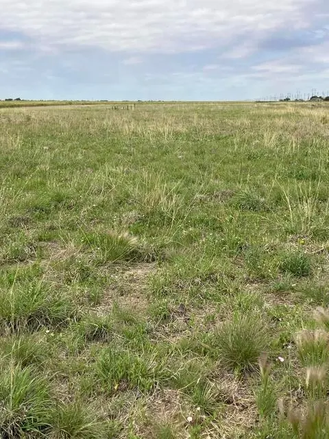 Photo 6 — 3601 W 24th Street, Plainview, TX 79072