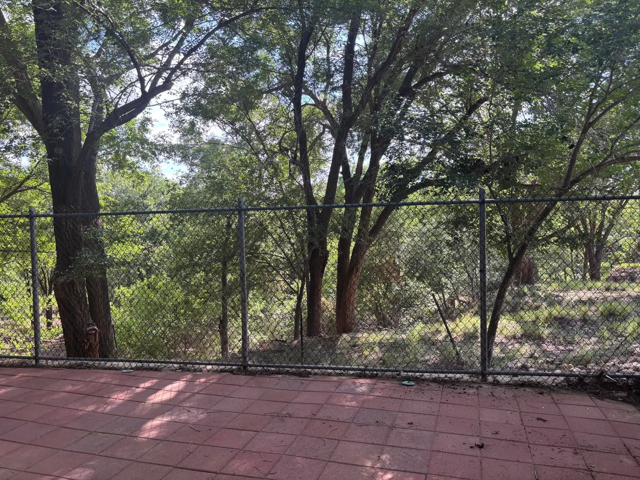 Photo 8 — 33 W Lakeshore Drive, Ransom Canyon, TX 79366