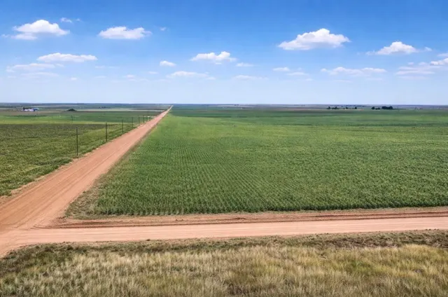Photo 2 — 0 County Road 13, Tahoka, TX 79373
