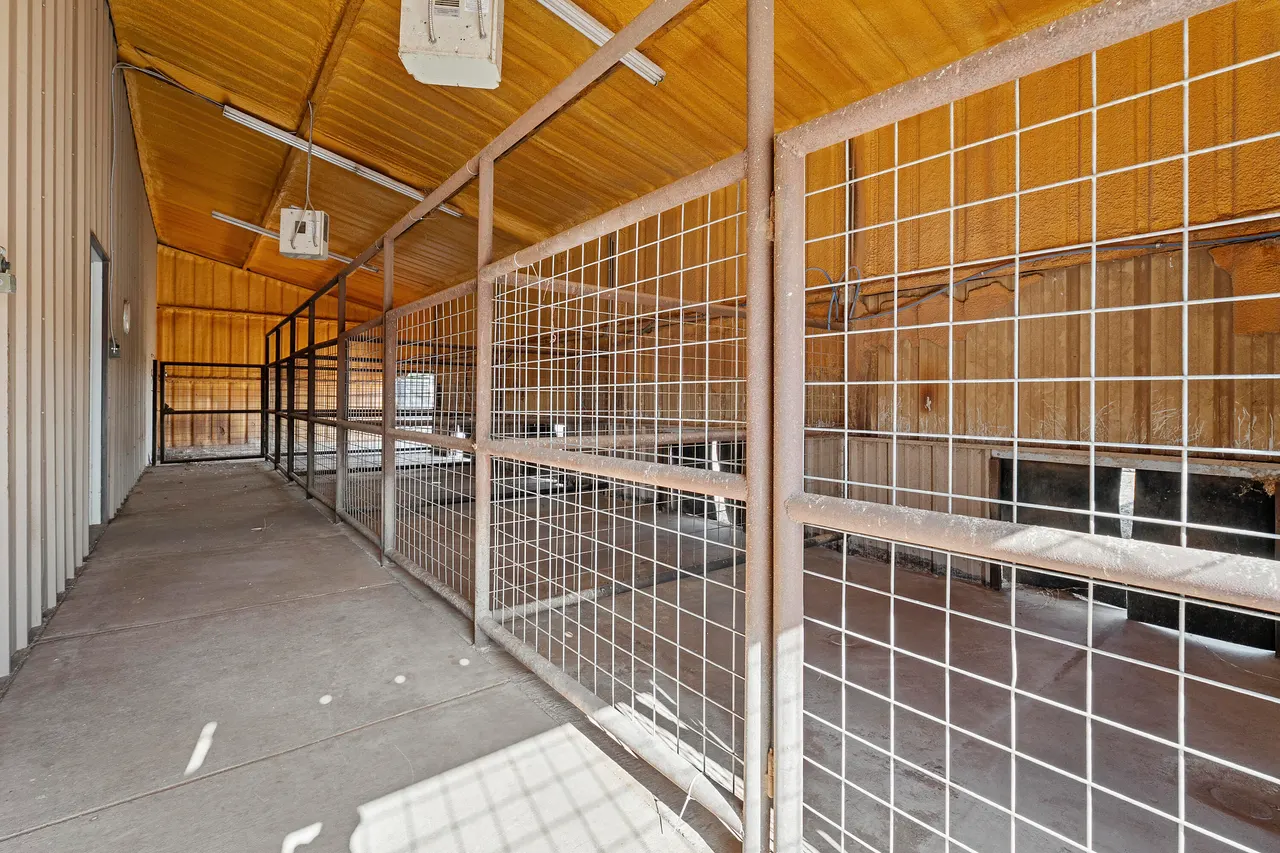 Photo 64 — 7824 FM 2641, Shallowater, TX 79363