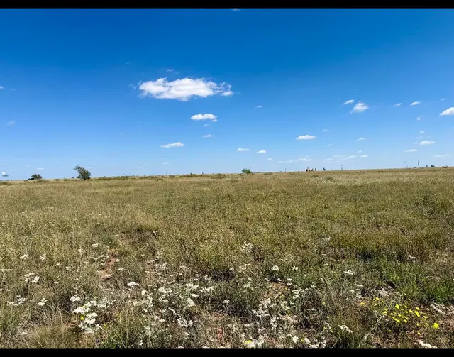 Photo 3 — CR 121 / CR 290 COUNTY ROAD 121, Brownfield, TX 79316