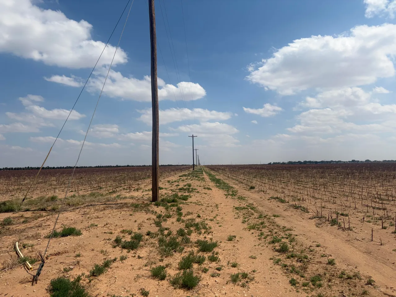 Photo 21 — 9310 4th Street, Lubbock, TX 79416