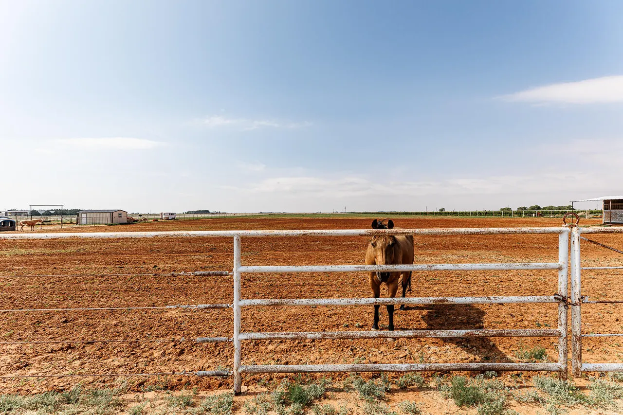 Photo 58 — 10025 Woodrow Road, Ropesville, TX 79358