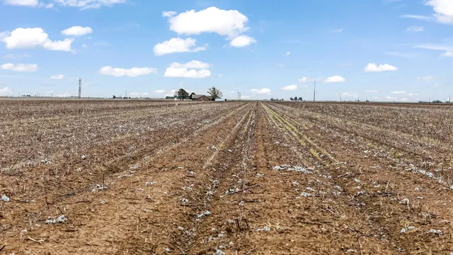 Photo 3 — 1283 County Road 12, Tulia, TX 79088