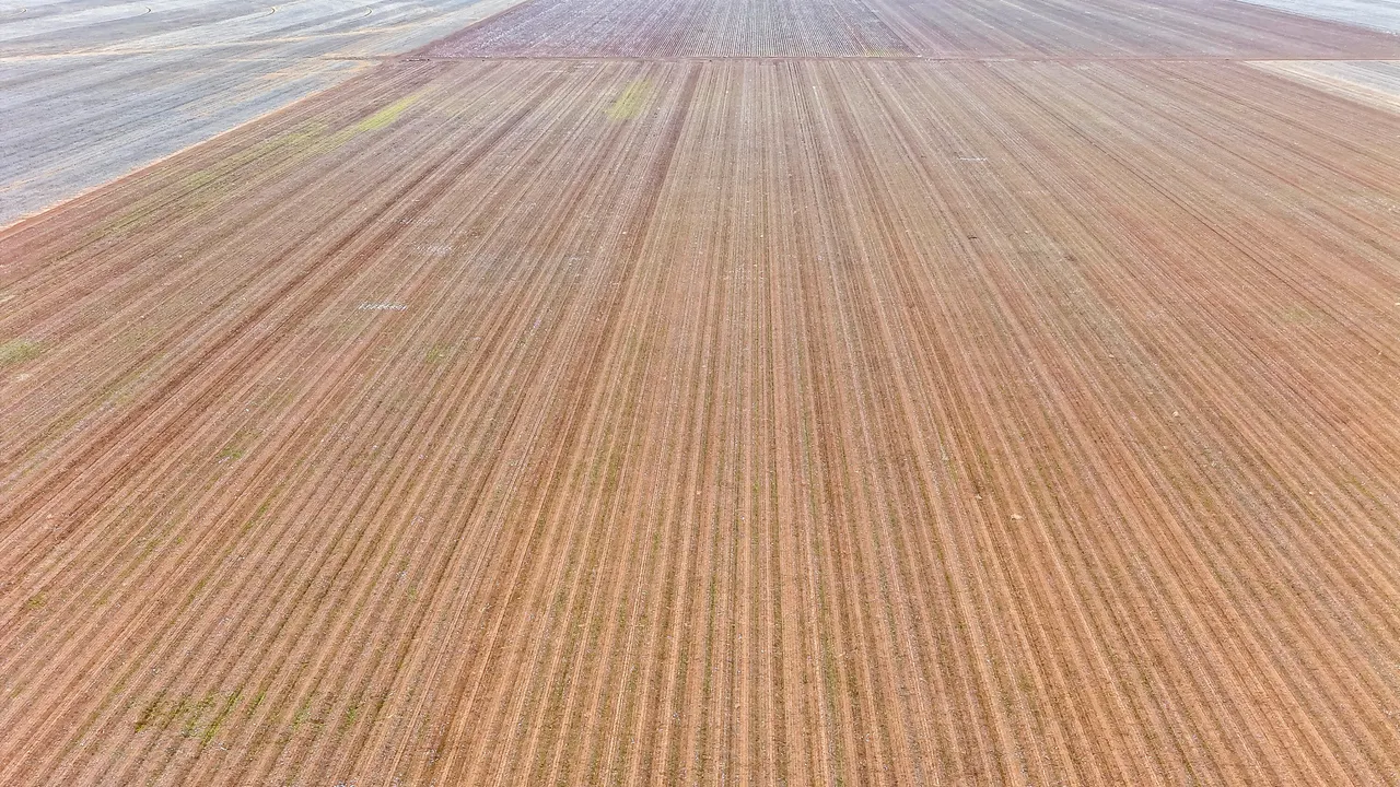 Photo 12 — 1283 County Road 12, Tulia, TX 79088