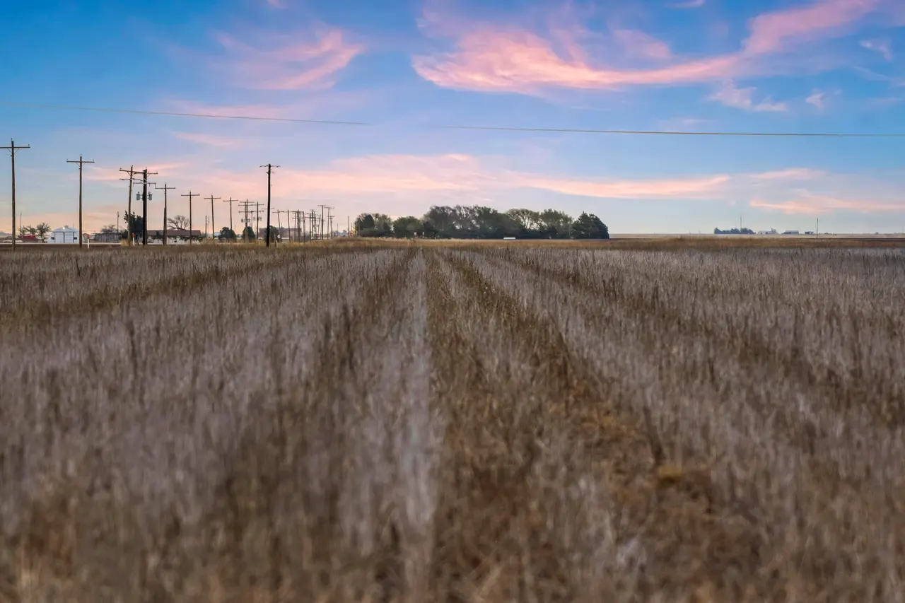 Photo 16 — 1283 County Road 12, Tulia, TX 79088