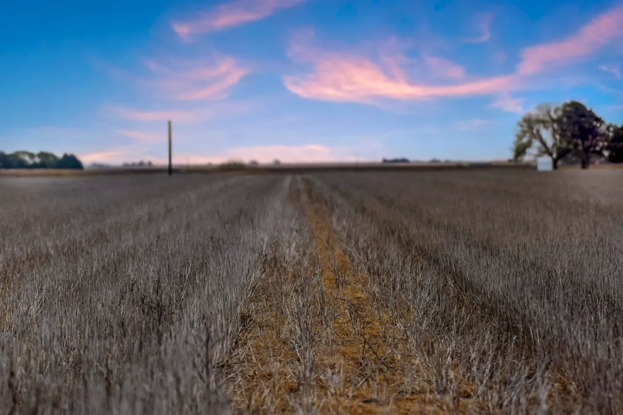 Photo 17 — 1283 County Road 12, Tulia, TX 79088