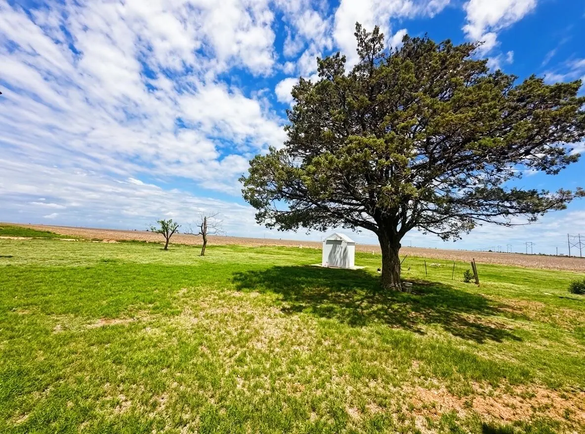 Photo 29 — 1283 County Road 12, Tulia, TX 79088