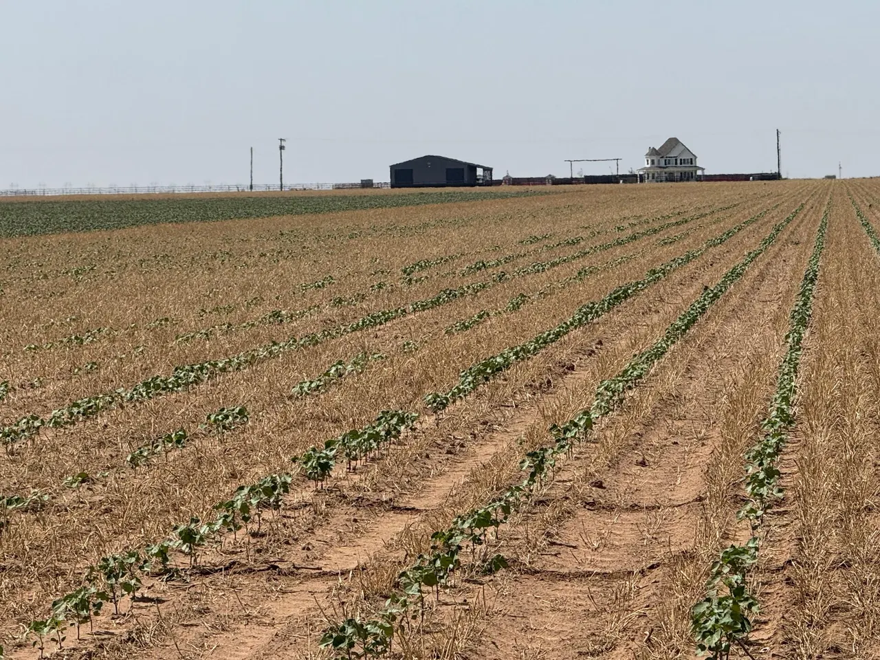 Photo 2 — 3915 E FM 1729, Lubbock, TX 79403