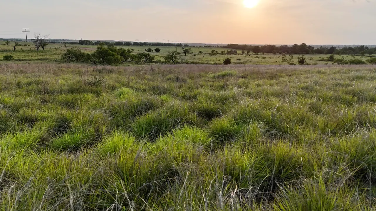 Photo 10 — 6761 County Road 11, Shamrock, TX 79079
