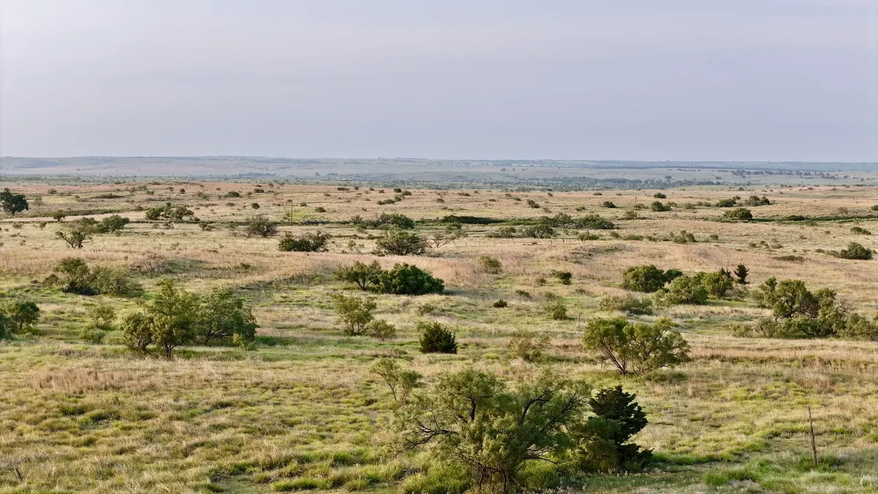 Photo 46 — 6761 County Road 11, Shamrock, TX 79079