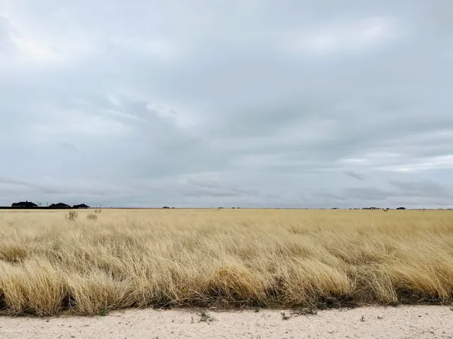 Photo 5 — 4403 Co Rd 7900, Lubbock, TX 79424