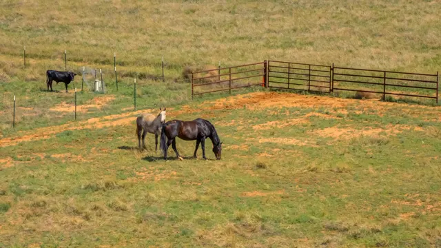 Photo 5 — 10721 County Road 6000, Shallowater, TX 79363