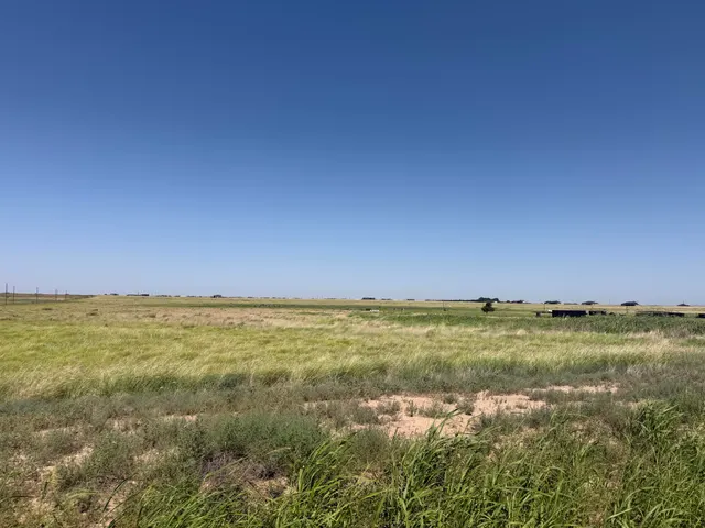 Photo 3 — 21708 County Road 2040, Lubbock, TX 79423
