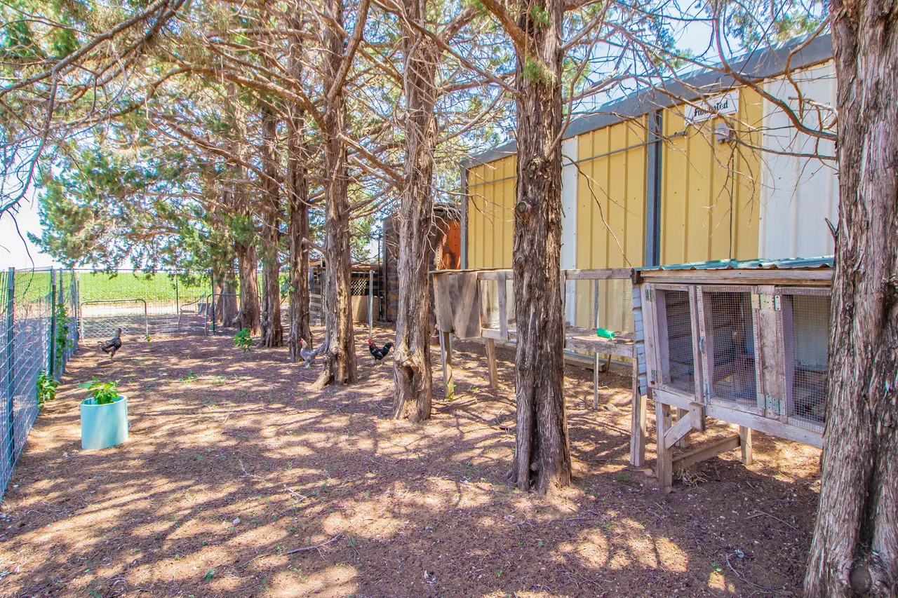 Photo 36 — 10618 E County Road 7540, Slaton, TX 79364