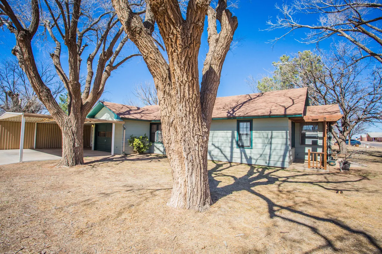 Photo 8 — 312 Ave D, Olton, TX 79064