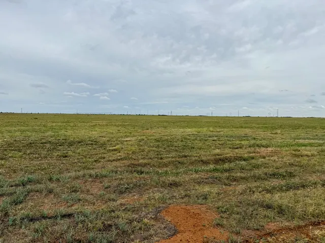 Photo 2 — 4 F M 2060, Abernathy, TX 79311