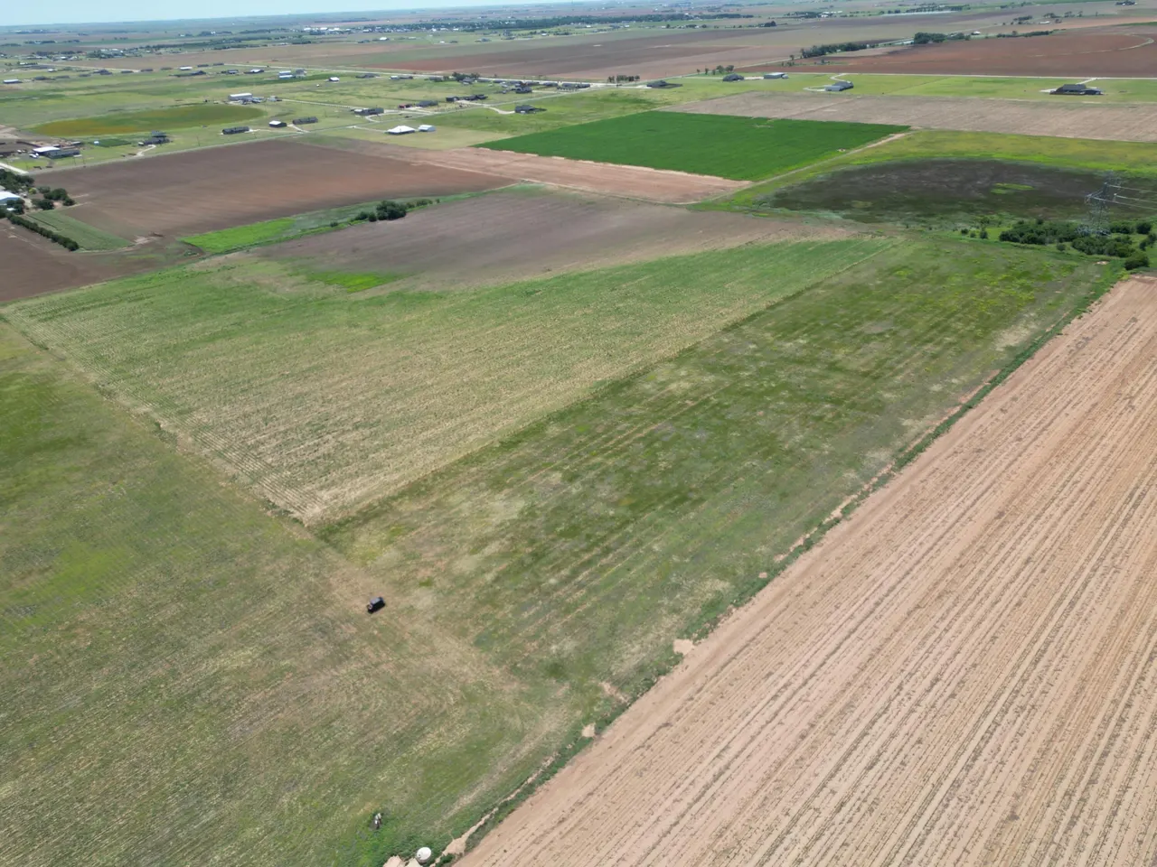 Photo 11 — 6916 E FM 1294, Idalou, TX 79329