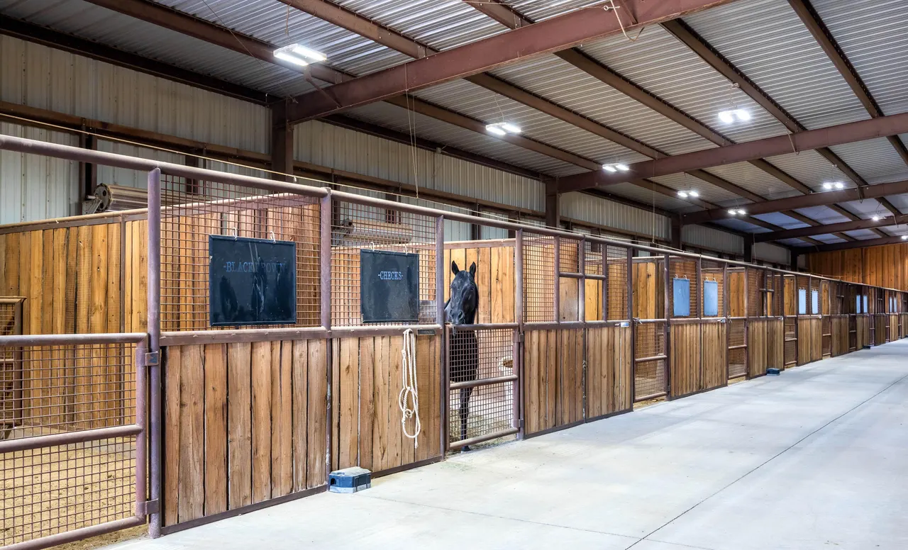 Photo 18 — 198 Farm To Market 1730, New Home, TX 79381
