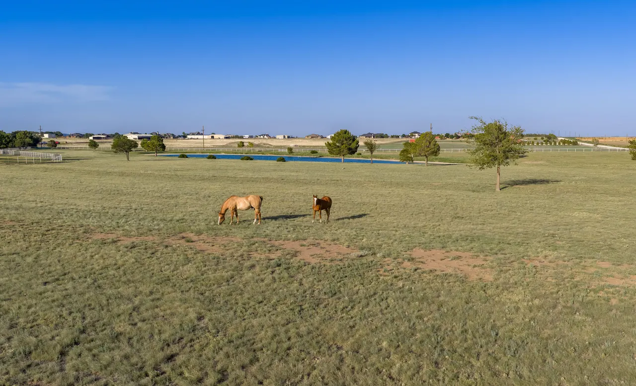 Photo 99 — 198 Farm To Market 1730, New Home, TX 79381