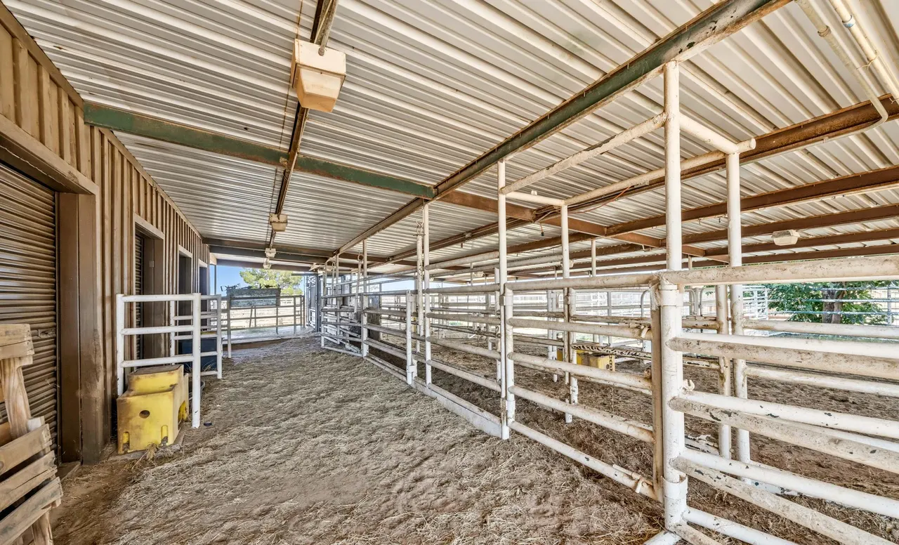 Photo 49 — 198 Farm To Market 1730, New Home, TX 79381