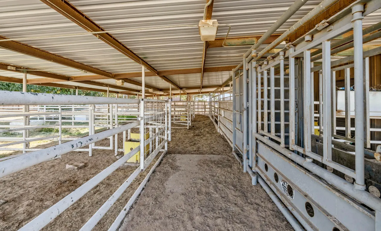 Photo 51 — 198 Farm To Market 1730, New Home, TX 79381