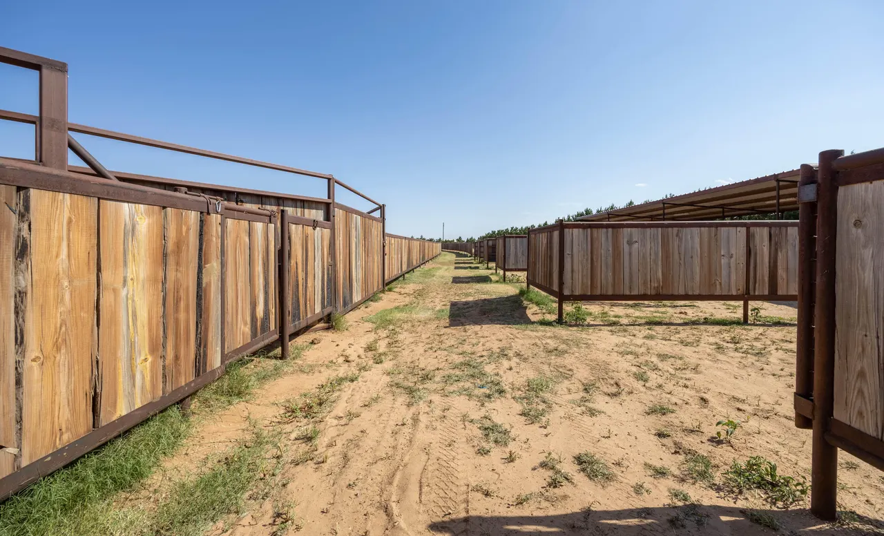 Photo 41 — 198 Farm To Market 1730, New Home, TX 79381