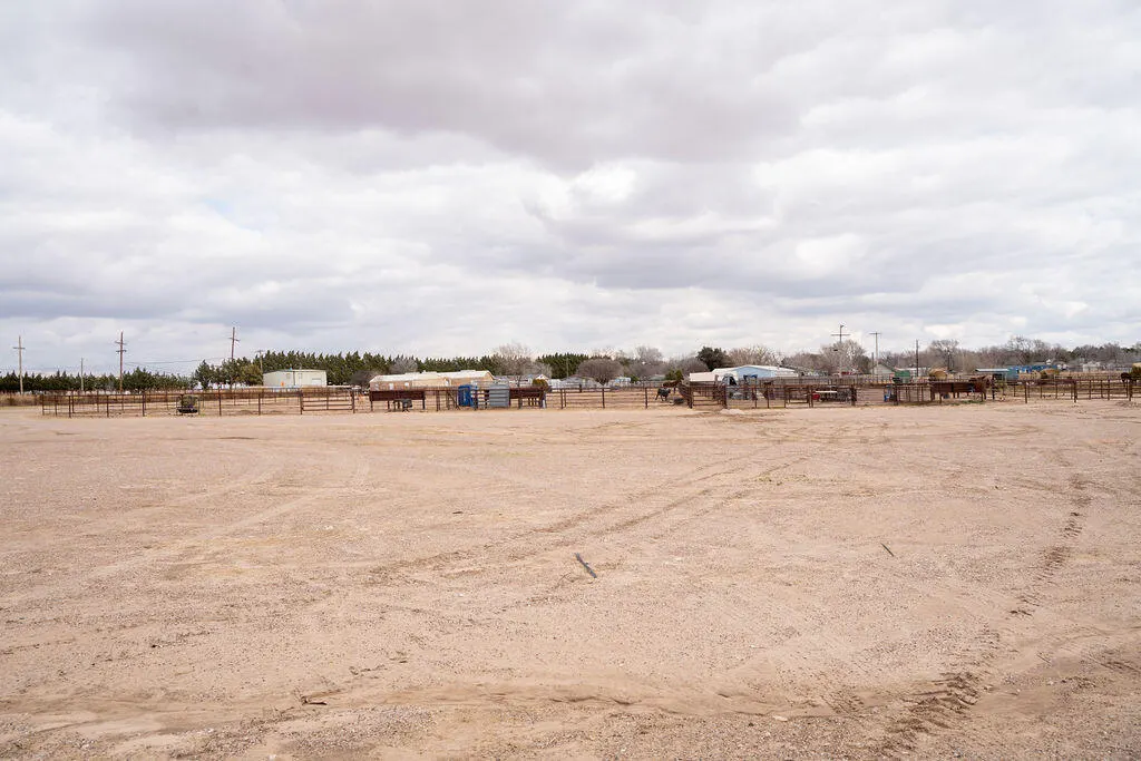 Photo 74 — 7811 County Rd 1540, Shallowater, TX 79363
