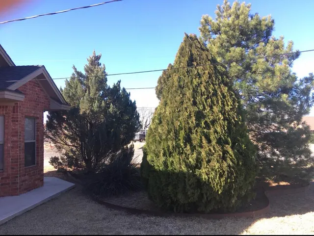 Photo 7 — 101 SE 6th Street, Plainview, TX 79072