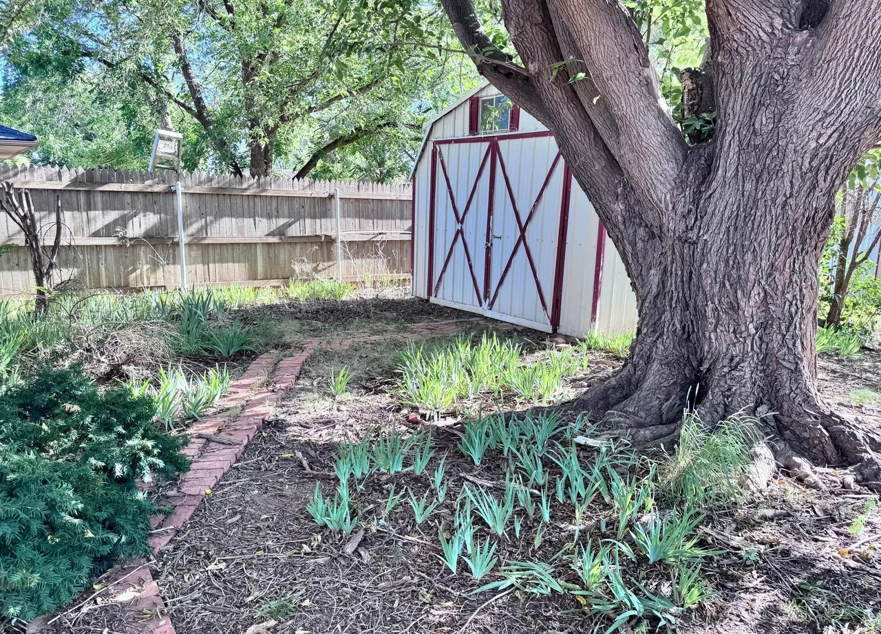 Photo 41 — 2507 Holliday Street, Plainview, TX 79072