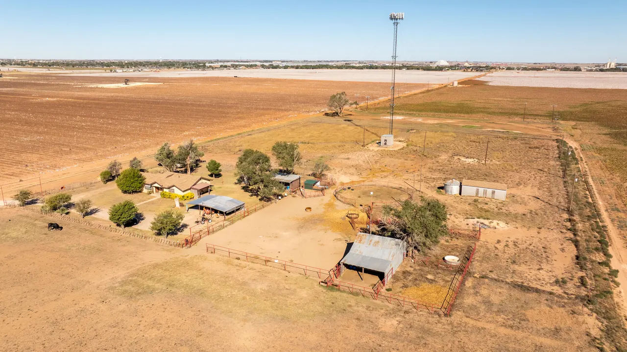 Photo 52 — 1651 Bear Road, Levelland, TX 79336