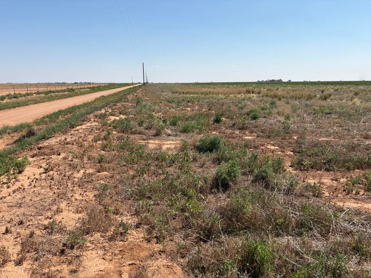 Photo 4 — Elk Road, Levelland, TX 79336