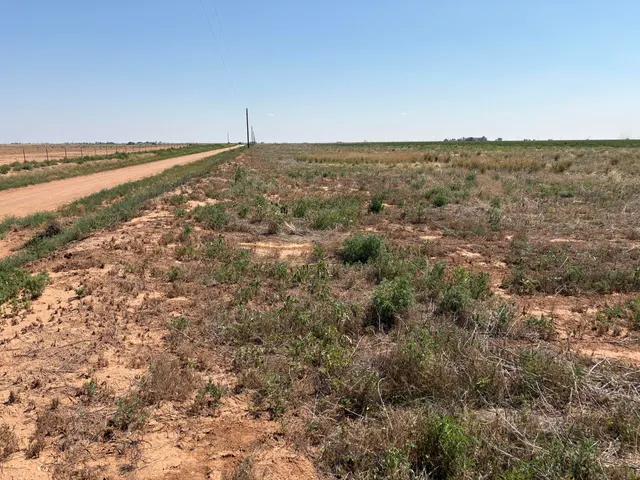 Photo 4 — Elk Road, Levelland, TX 79336
