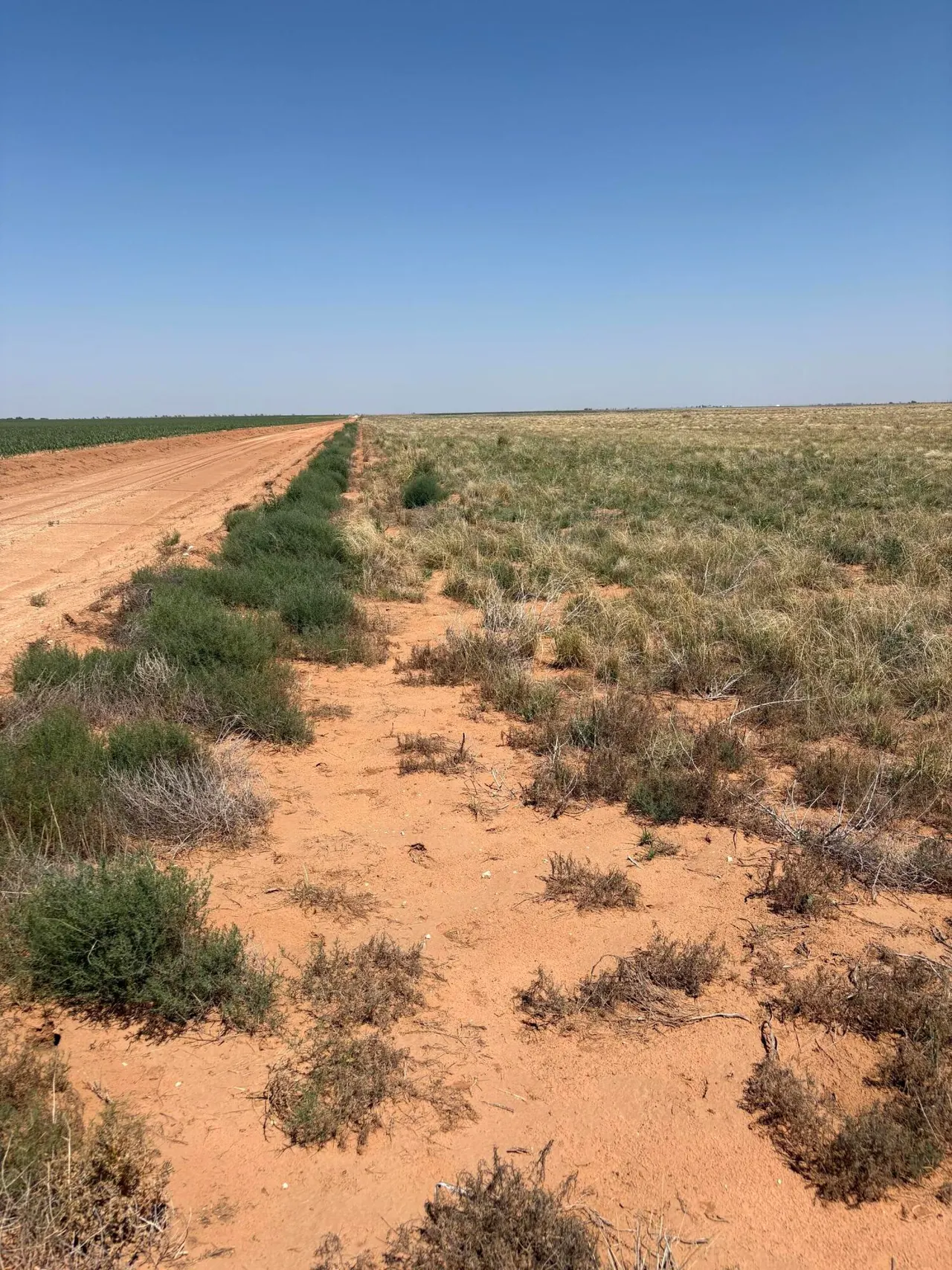 Photo 5 — Elk Road, Levelland, TX 79336