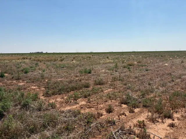 Photo 7 — Elk Road, Levelland, TX 79336