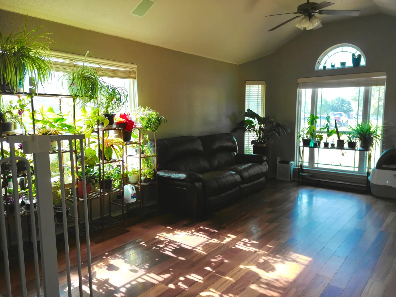 Photo 3 — 2602 111th Street, Lubbock, TX 79423