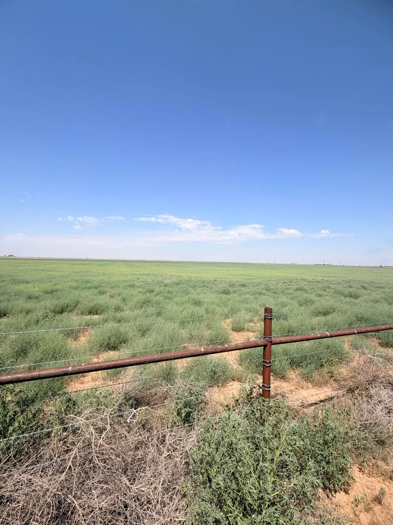 Photo 5 — N CR1100, Shallowater, TX 79363