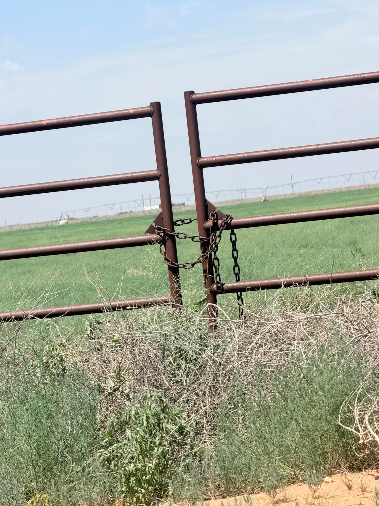 Photo 8 — N CR1100, Shallowater, TX 79363