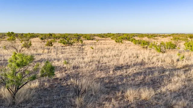 Photo 7 — County Road 239, Afton, TX 79220