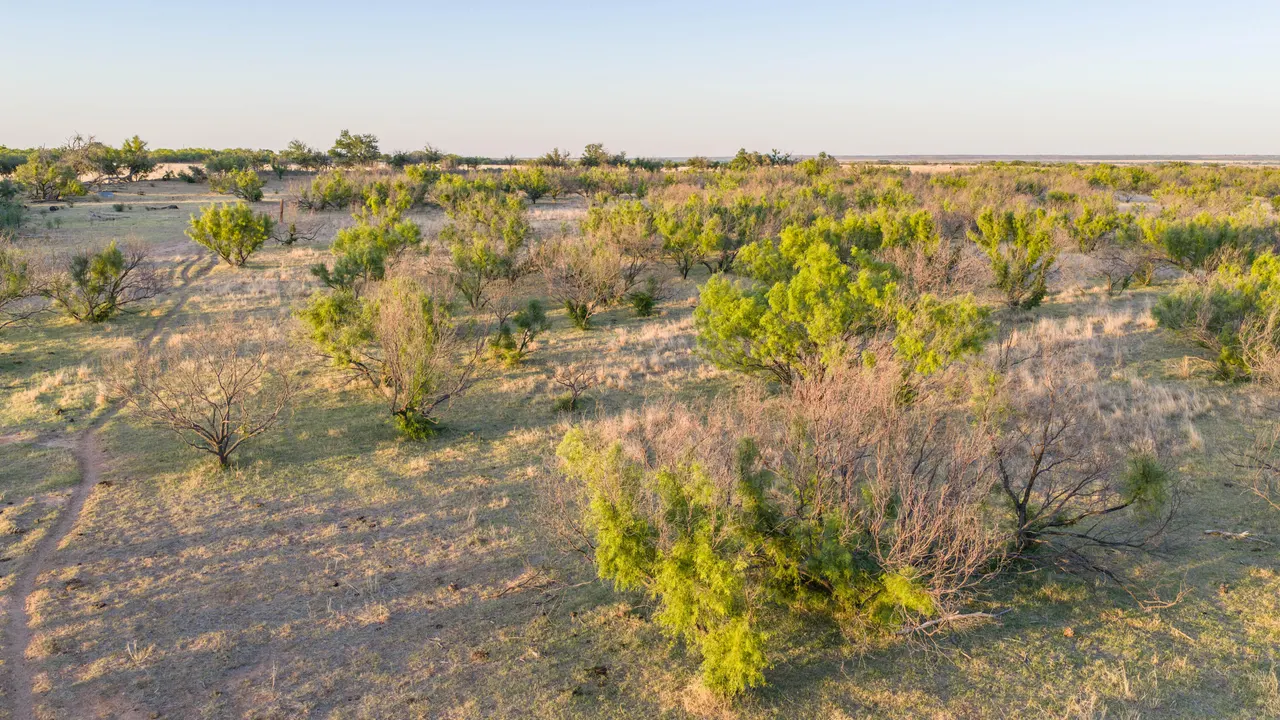 Photo 12 — County Road 239, Afton, TX 79220